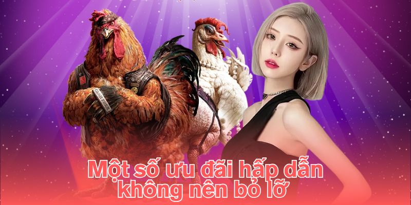 Một số ưu đãi hấp dẫn không nên bỏ lỡ  